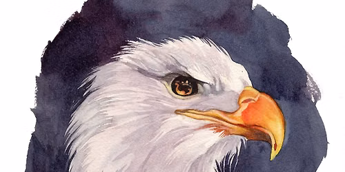 Eagle in Watercolor with Jessica Lily