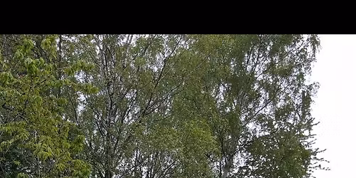 Bygning af ny svedehytte i Helsinge