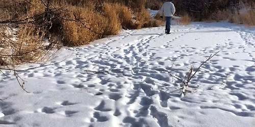 Hermitage Park Walk in Edmonton for Newcomers and Locals. Make new friends!
