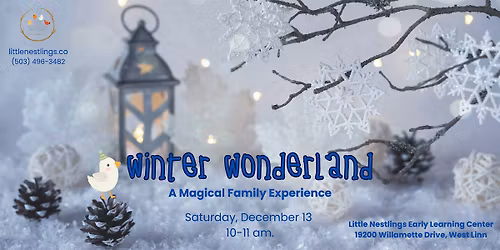 Winter Wonderland: A Magical Family Experience
