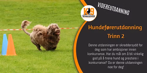 Hundef\u00f8rerutdanning Trinn 2 - 2025\/2026