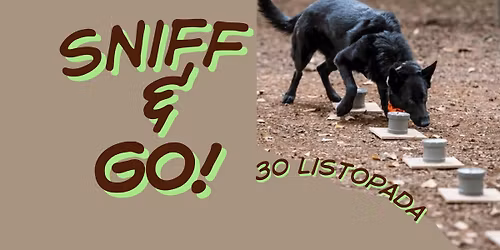 Sniff&Go | marsz na orientacj\u0119 + nosework