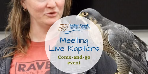 Meeting Live Raptors - Come and Go Event