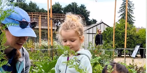 Vegetable Gardening for Kids