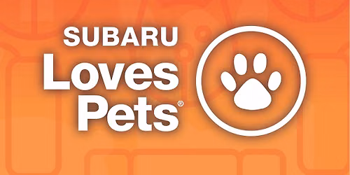 Subaru Loves Pets + Big Bones Adoption Event and Puppy Yoga
