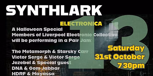 Synthlark Electronica 13