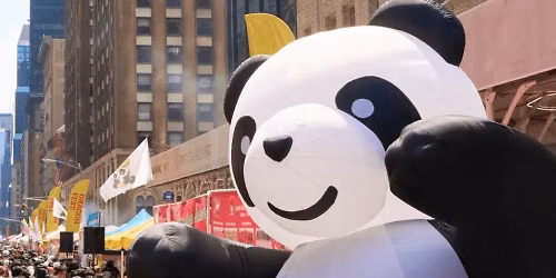 Panda Fest at MOA North Lot