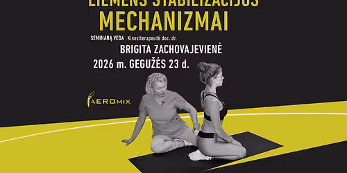 Liemens stabilizacijos mechanizmai