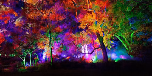 Lightscape 2026 - Perth