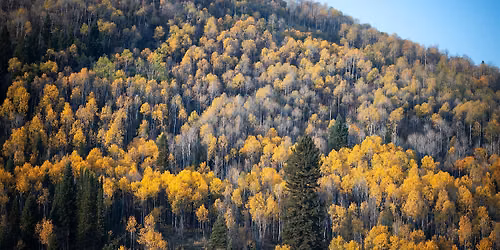 Meet the Ambassadors: Hike on the 910 Ranch