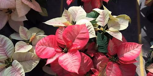 Rowan County Master Gardener Course Information Class