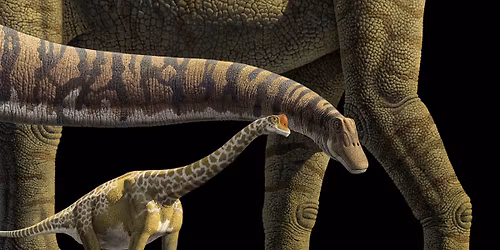 Let\u2019s check out the World\u2019s Largest Dinosaurs! 
