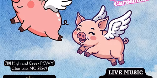 Comfortable Shirt: Live From Highland Creek!