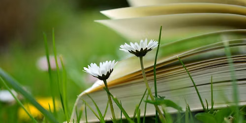 Summer Storytime in the Park with ACPL
