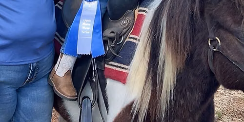Open Horse Show at Rockin' R Ranch 