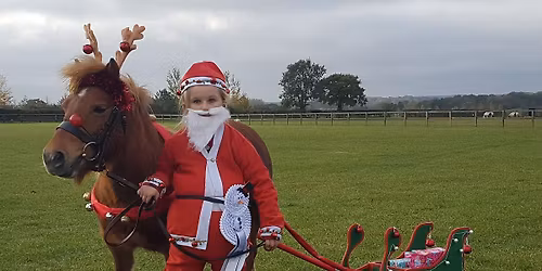 Southern Area Christmas Show