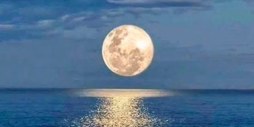 Full Moon Paddle \ud83c\udf53