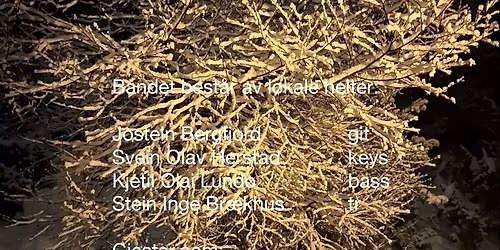 Jule-Input p\u00e5 Pitters fre 19.des