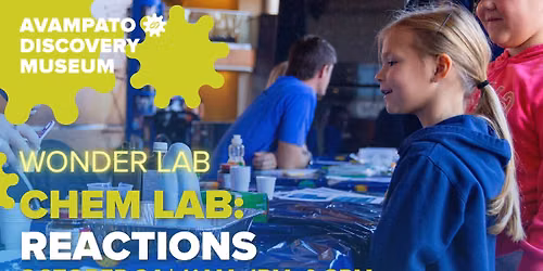 Wonder Lab: Chem Lab: Reactions