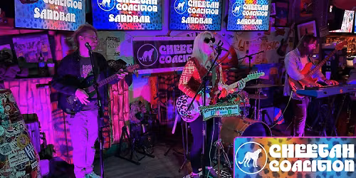 Cheetah Coalition Rocks Sandbar Thanksgiving Saturday