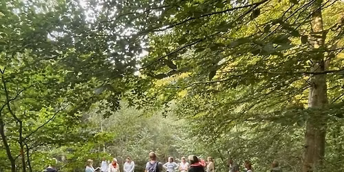 Fremtiden med Gr\u00f8n Propaganda Kunst