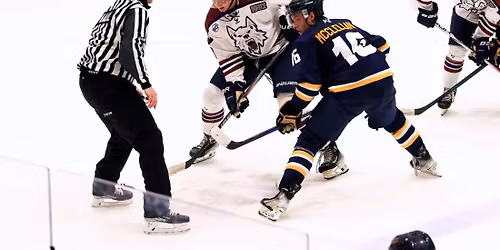 Chippewa Steel at Fairbanks Ice Dogs