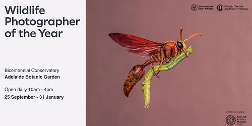 Wildlife Photographer of the Year