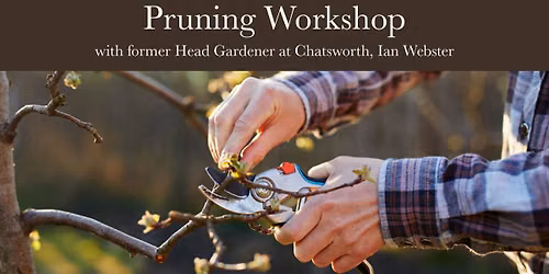 Pruning Workshop