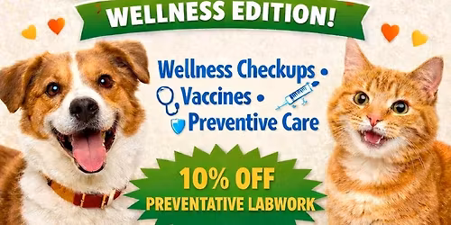 Furst Saturday @ DWAH