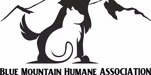 1st Annual Doggy Dash 5K