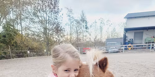 Weihnachtsnachmittag am Pferdehof 