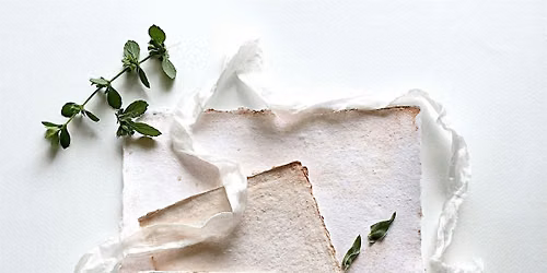 Seed Paper Making Workshop