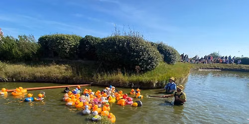 Great Yarmouth Duck Races