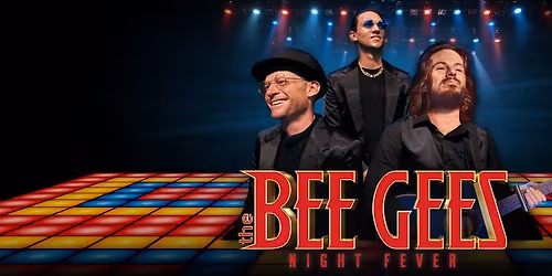 The Bee Gees Night Fever