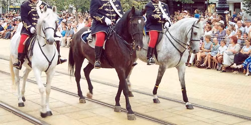 Husz\u00e1rhagyom\u00e1ny-\u0151rz\u00e9s a XXI. sz\u00e1zadban