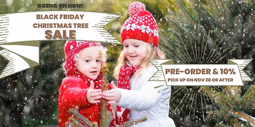 Black Friday Christmas Tree Sale