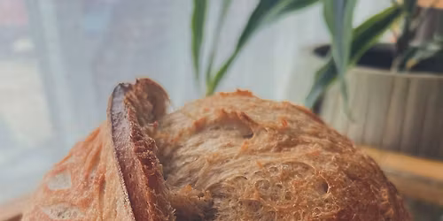 Essex County Sourdough Championship