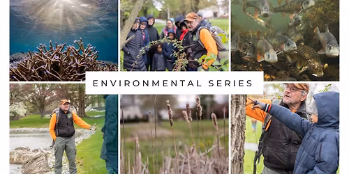 Underwater Life of Streams Presentation