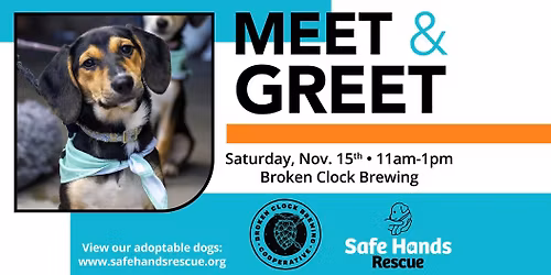 Safe Hands Rescue Meet & Greet at Broken Clock Brewing Cooperative