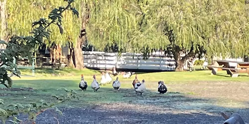 Community Working Bee