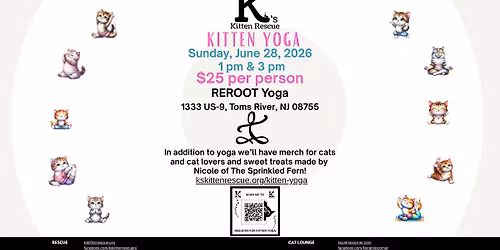 Kitten Yoga at ReRoot Yoga Studio