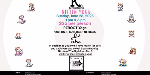 Kitten Yoga at ReRoot Yoga Studio