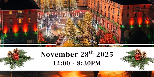35th Annual Lighting Ceremony