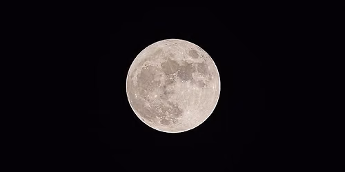 Full Moon Walk at Yankauer Nature Preserve