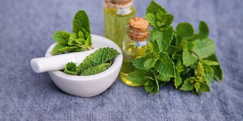 Temadag tr\u00e4dg\u00e5rd