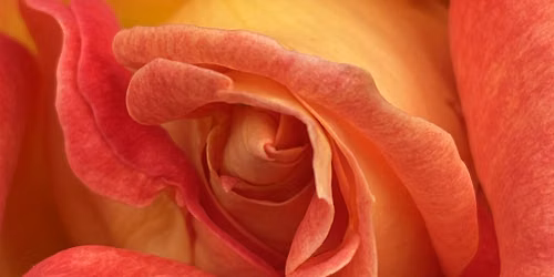 Opening into Expansion \u2013 A Breathwork & Sound Journey \u2013 Sat, 13th June
