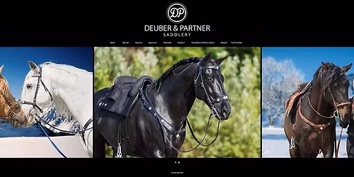 Kurs i akademisk ridekunst med Bent Branderup