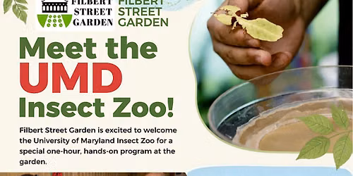 Meet the UMD Insect Zoo