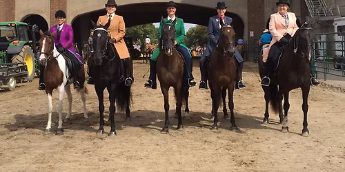 TWH at the MN State Fair