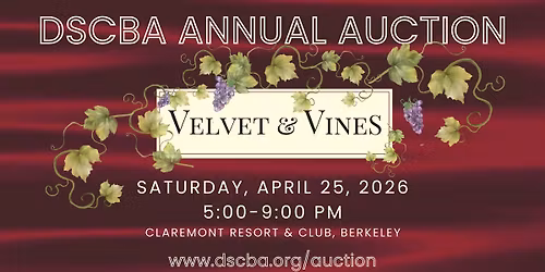 DSCBA Annual Auction - Velvet & Vines